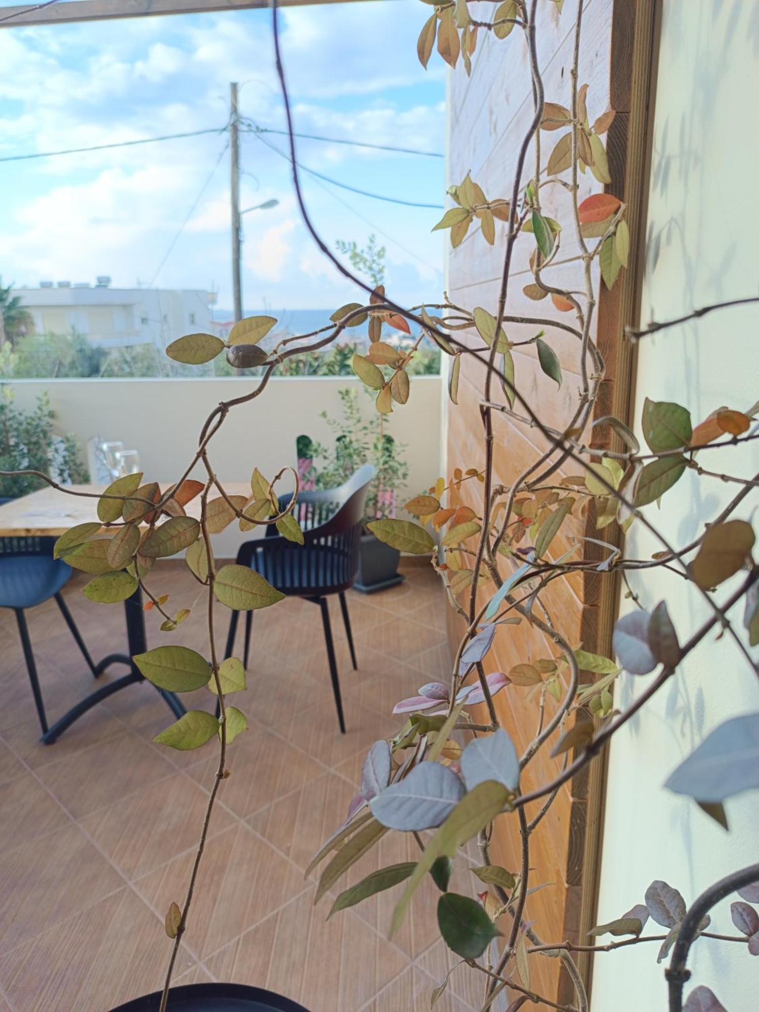 Giodriana Cozy Studio Agia Marina Buitenkant foto
